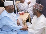 2025 Budget: Snakes, Termites, Monkeys Must Not Swallow $1.07 Billion Earmarked For Health, Atiku Warns