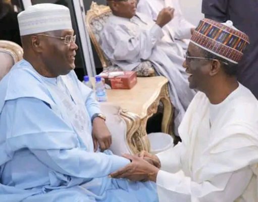 2025 Budget: Snakes, Termites, Monkeys Must Not Swallow $1.07 Billion Earmarked For Health, Atiku Warns