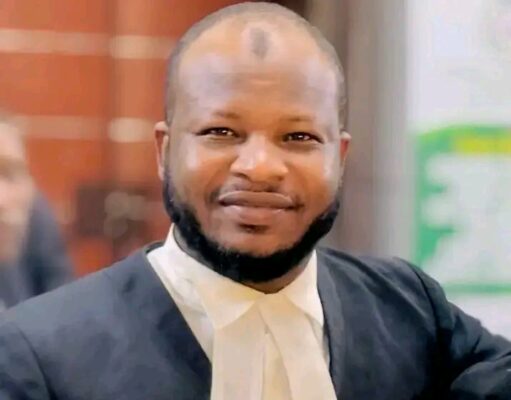 Ɗan Sanda Bashi da damar ɗaukar doka a hannunsa Har Takai ga ya kashe Wanda ake Tuhuma da aikata laifi, inji Barista Hamza